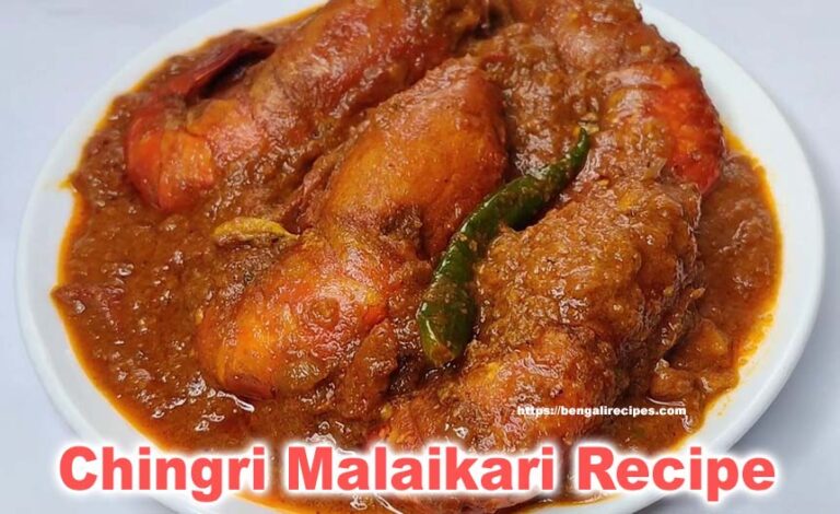 Chingri Malaikari Recipe