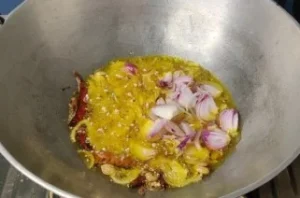 Chicken Do Pyaza Recipe